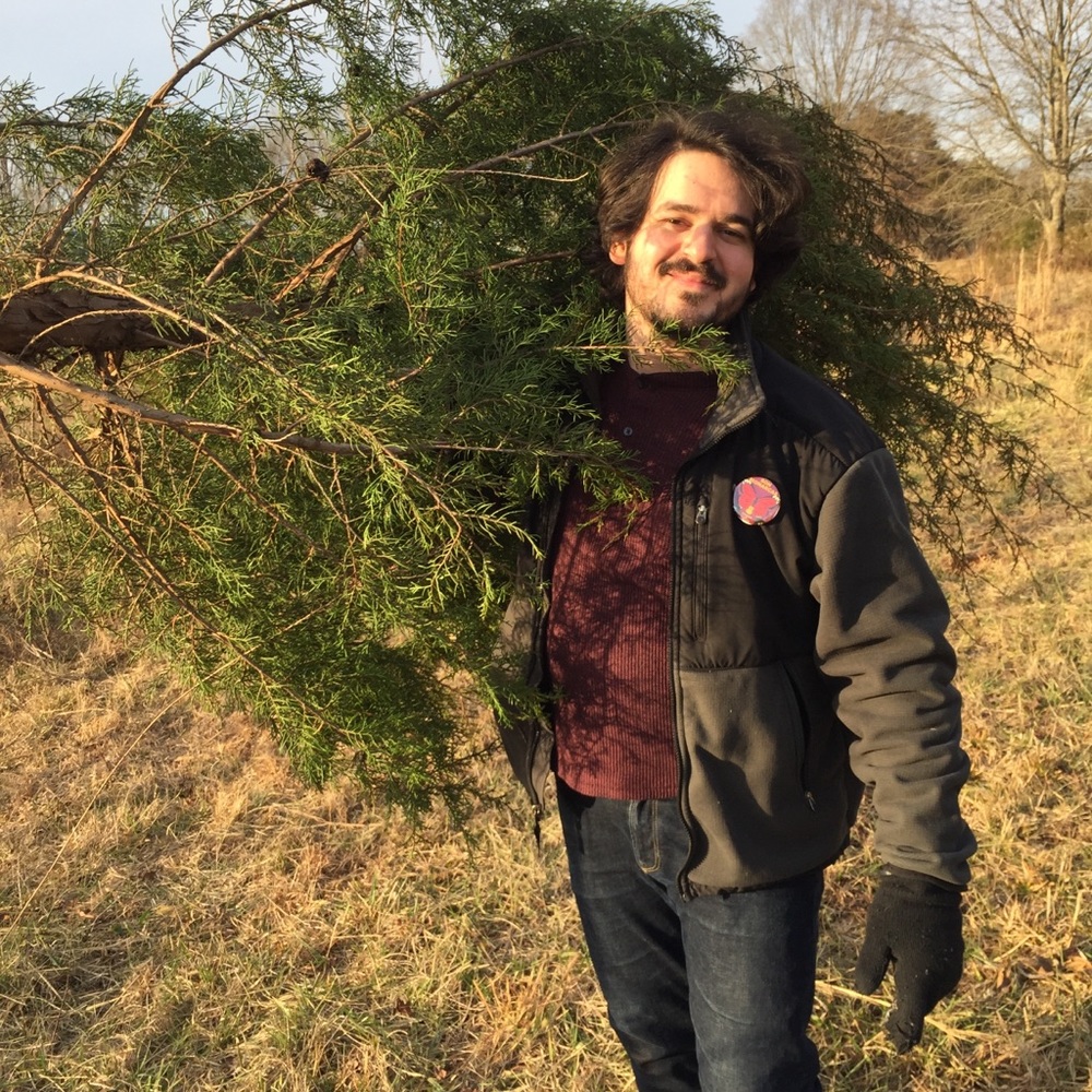 Meet your Posher, Kitt